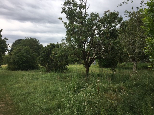 Terrain constructible Belin-béliet  (Gironde 33)