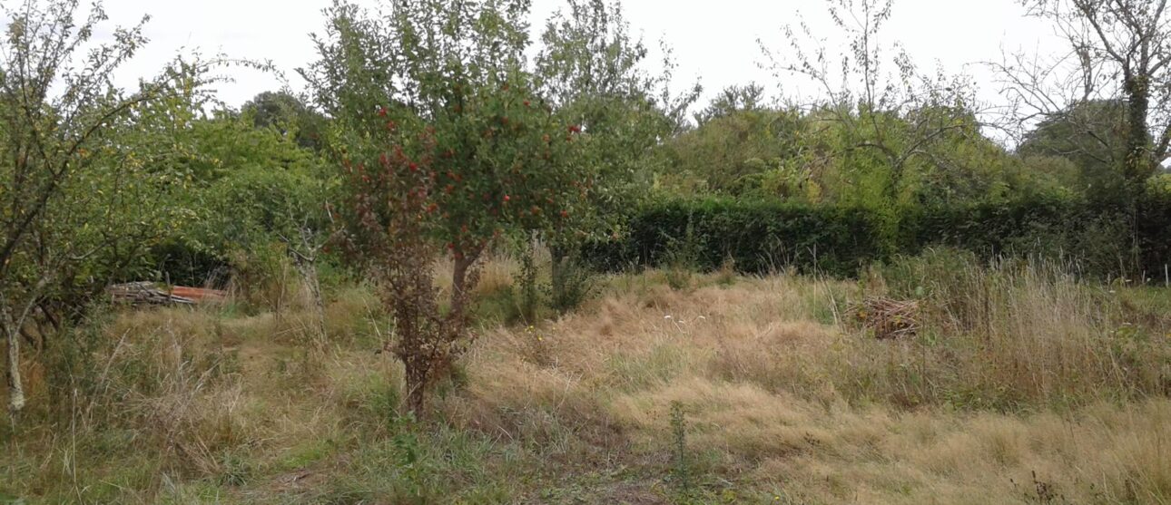 Terrain constructible Beautiran  (Gironde 33)