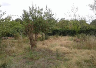 Terrain constructible Toulenne  (Gironde 33)