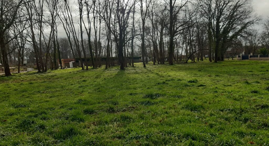 Terrain constructible Grayan-et-l'hôpital  (Gironde 33)