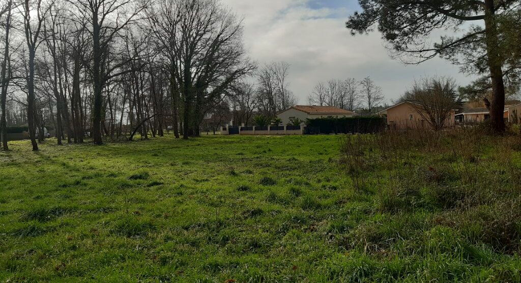 Terrain constructible Blaye  (Gironde 33)