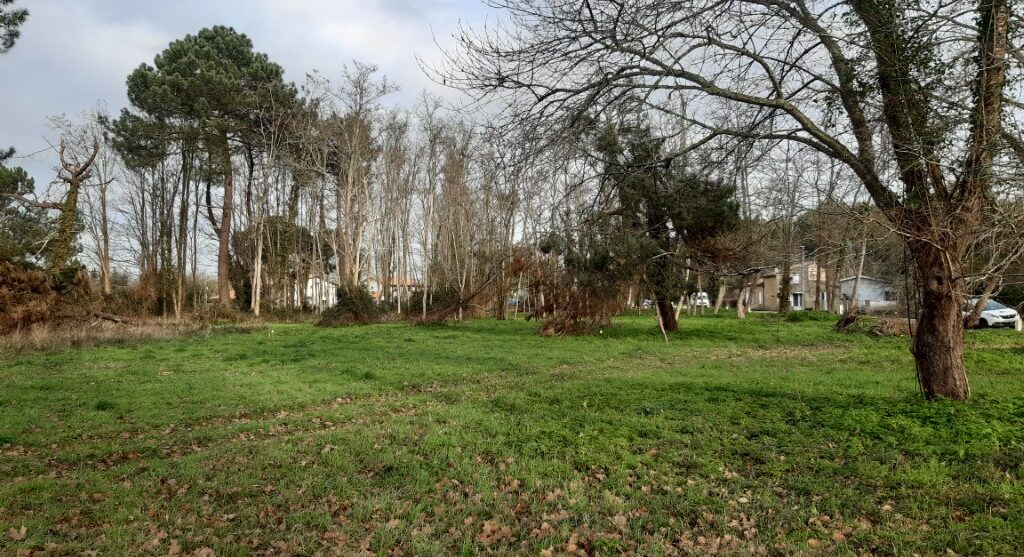 Terrain constructible Saint-sauveur  (Gironde 33)