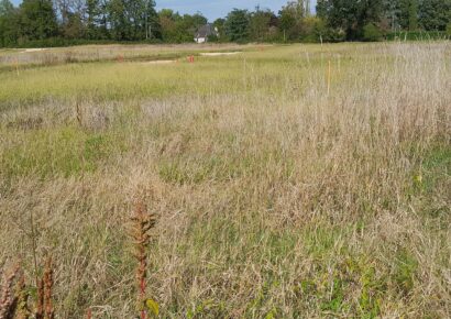 Terrain constructible Lesparre-médoc  (Gironde 33)