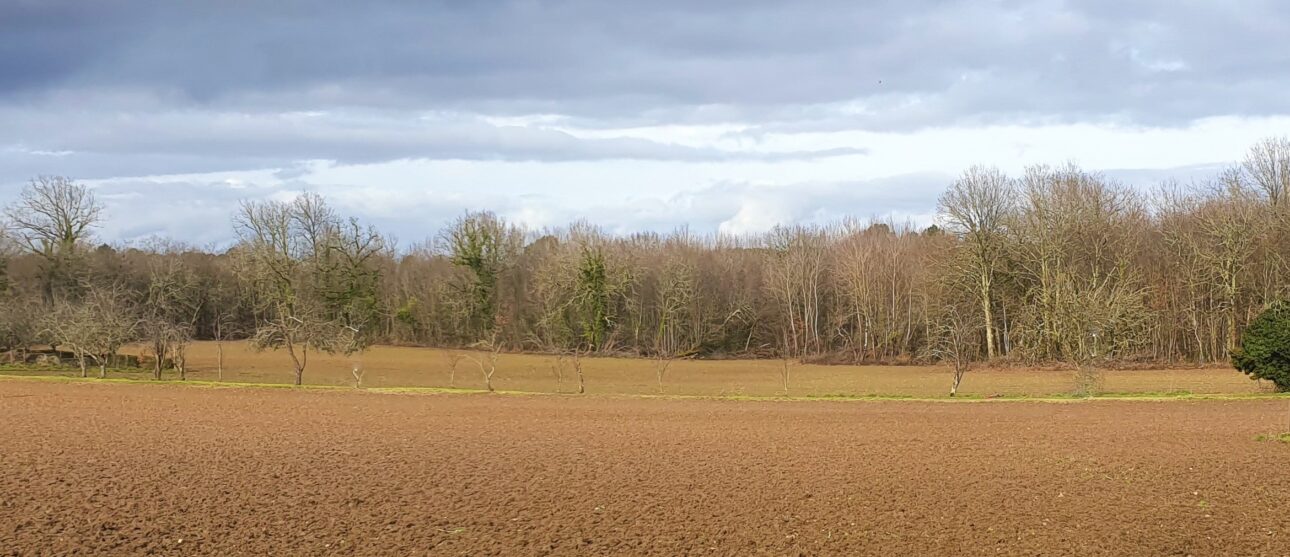 Terrain constructible Périgueux (Dordogne 24)