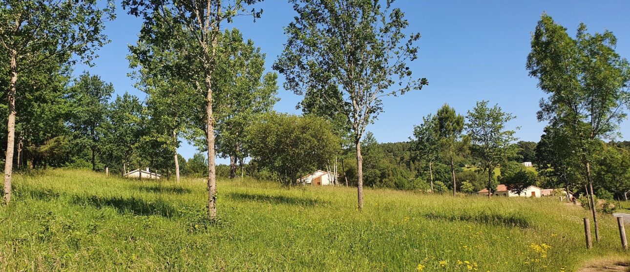 Terrain constructible Chantérac  (Dordogne 24)