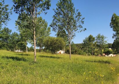 Terrain constructible Chantérac  (Dordogne 24)