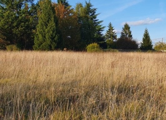 Terrain constructible Périgueux (Dordogne 24)