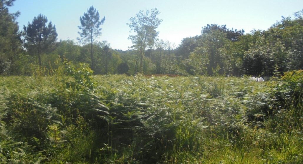 Terrain constructible Périgueux (Dordogne 24)