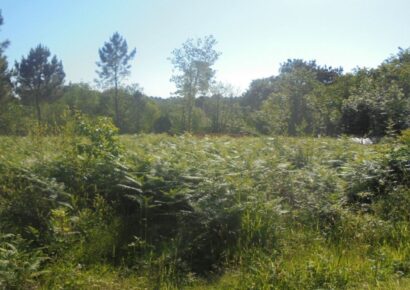 Terrain constructible Périgueux (Dordogne 24)