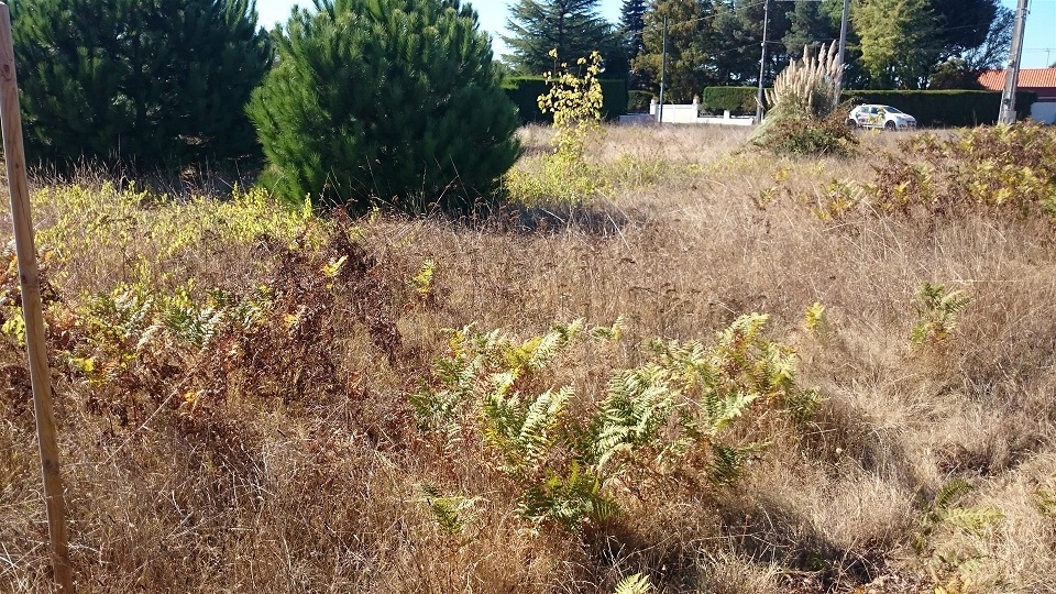 Terrain constructible Pugnac  (Gironde 33)