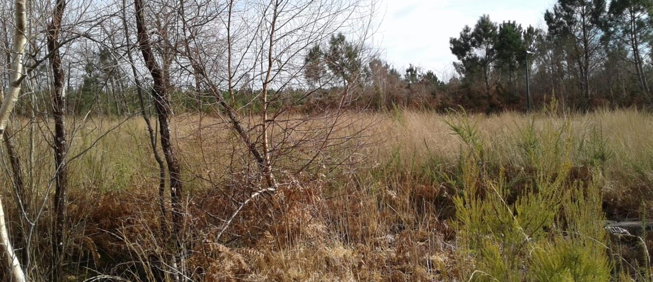 Terrain constructible Lesparre-médoc  (Gironde 33)