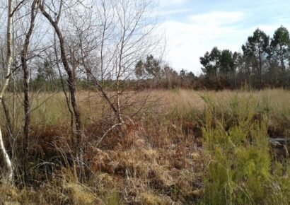 Terrain constructible Lesparre-médoc  (Gironde 33)