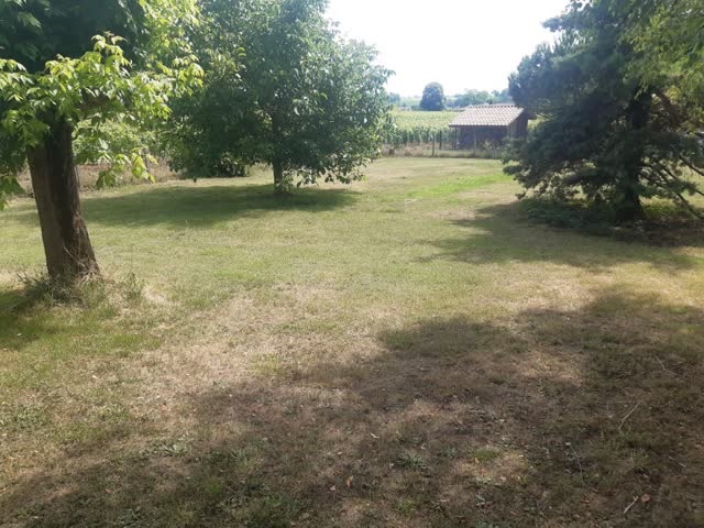 Terrain constructible Saint-macaire  (Gironde 33)