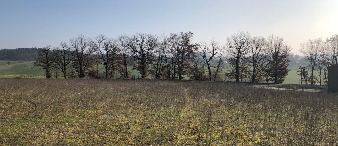 Terrain constructible Ribérac  (Dordogne 24)