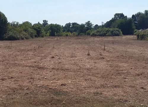 Terrain constructible Saint-yzans-de-médoc  (Gironde 33)