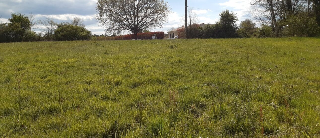 Terrain constructible Targon  (Gironde 33)