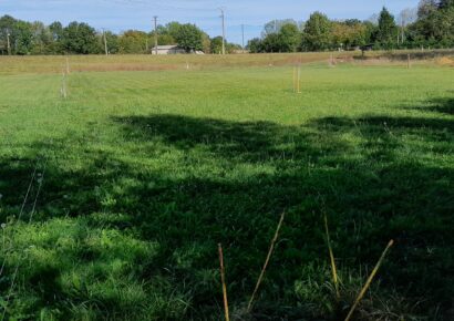 Terrain constructible Saint-vivien-de-médoc  (Gironde 33)