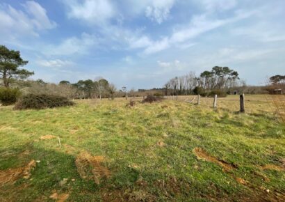 Terrain constructible Saint-selve  (Gironde 33)