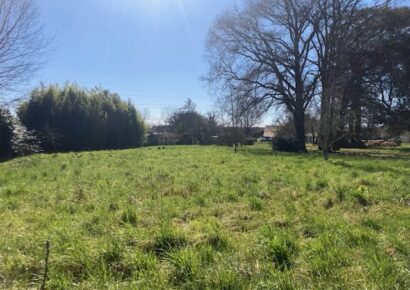 Terrain constructible Saint-selve  (Gironde 33)