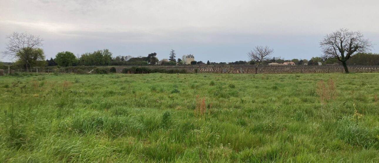 Terrain constructible Marcillac (Gironde 33)
