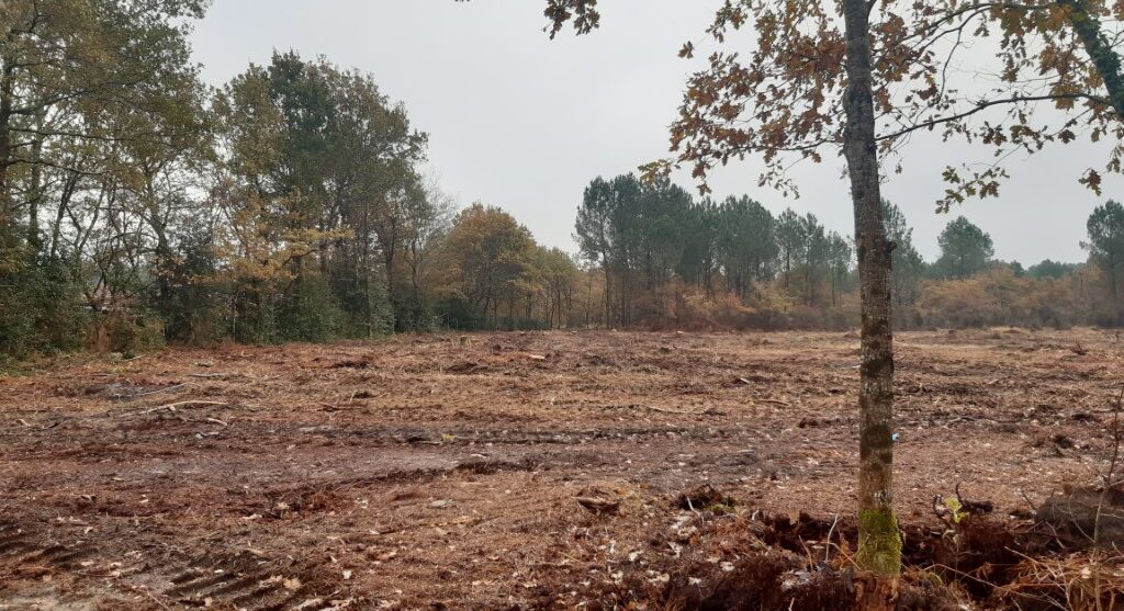Terrain constructible Martillac (Gironde 33)