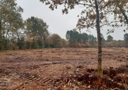 Terrain constructible Martillac  (Gironde 33)