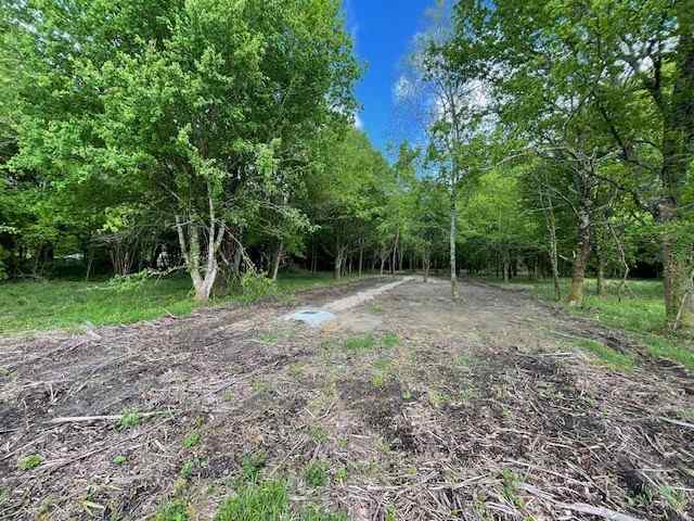 Terrain constructible Toulenne  (Gironde 33)