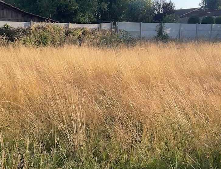 Terrain constructible Noaillan (Gironde 33)