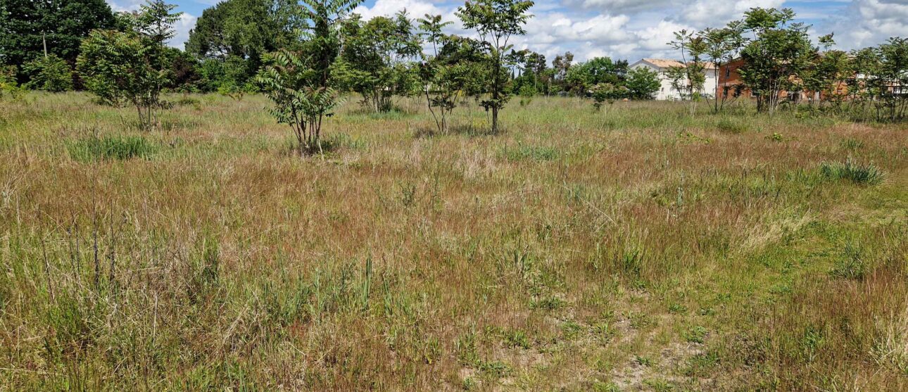 Terrain constructible Pujols-sur-ciron (Gironde 33)