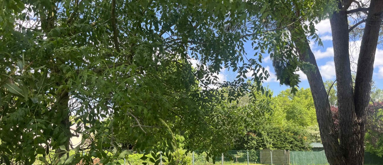 Terrain constructible Balizac (Gironde 33)