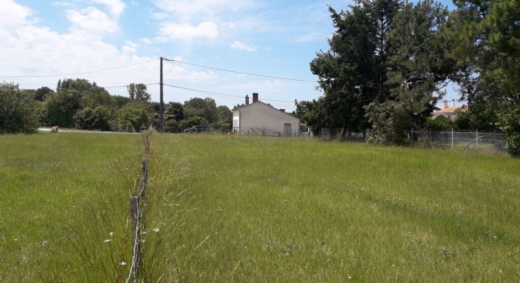 Terrain constructible Saint-savin (Gironde 33)
