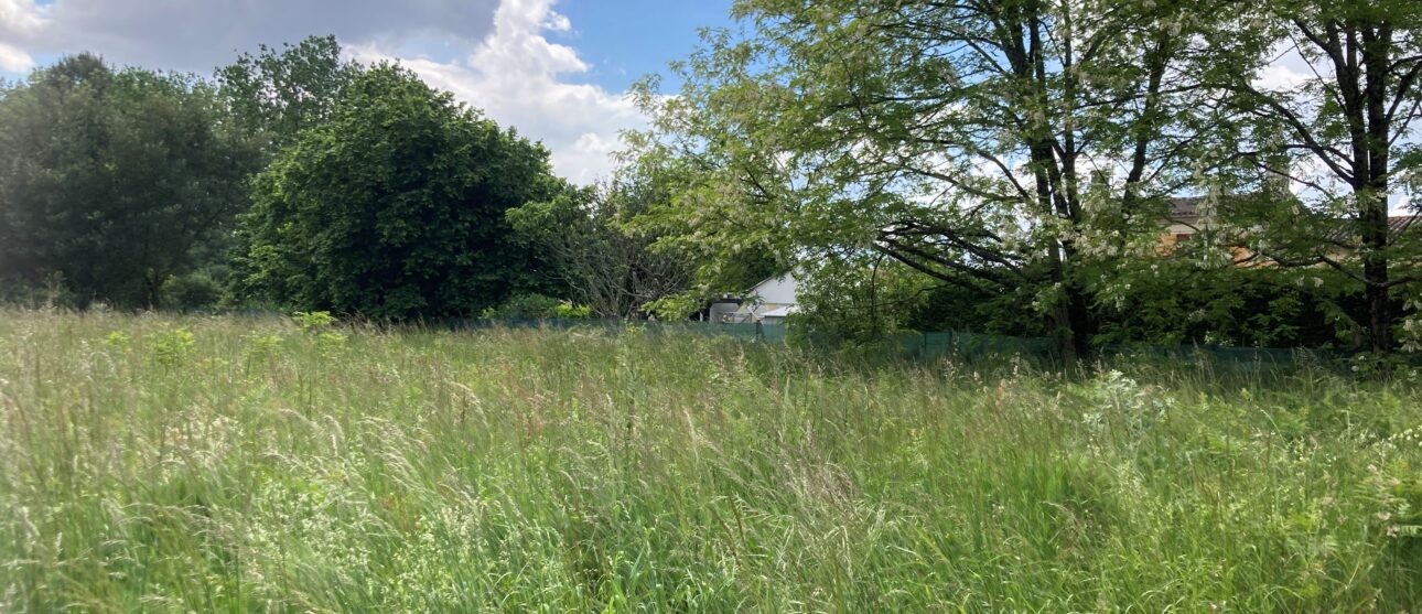 Terrain constructible Berson  (Gironde 33)