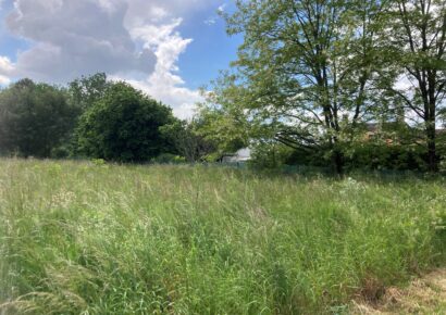 Terrain constructible Berson  (Gironde 33)