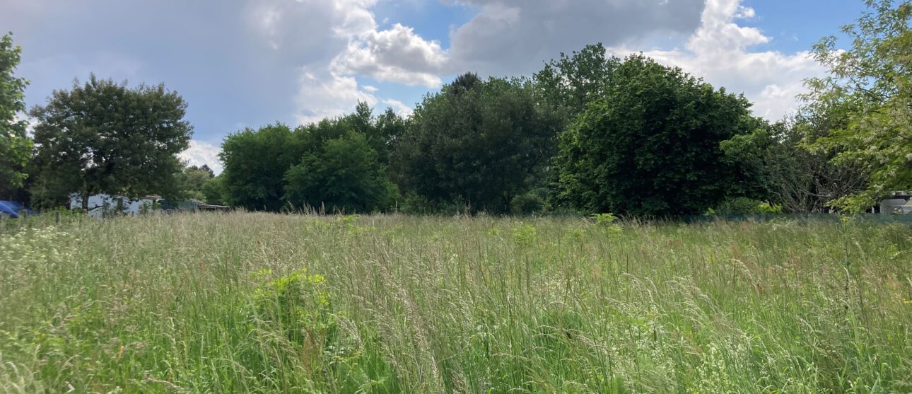 Terrain constructible Berson  (Gironde 33)