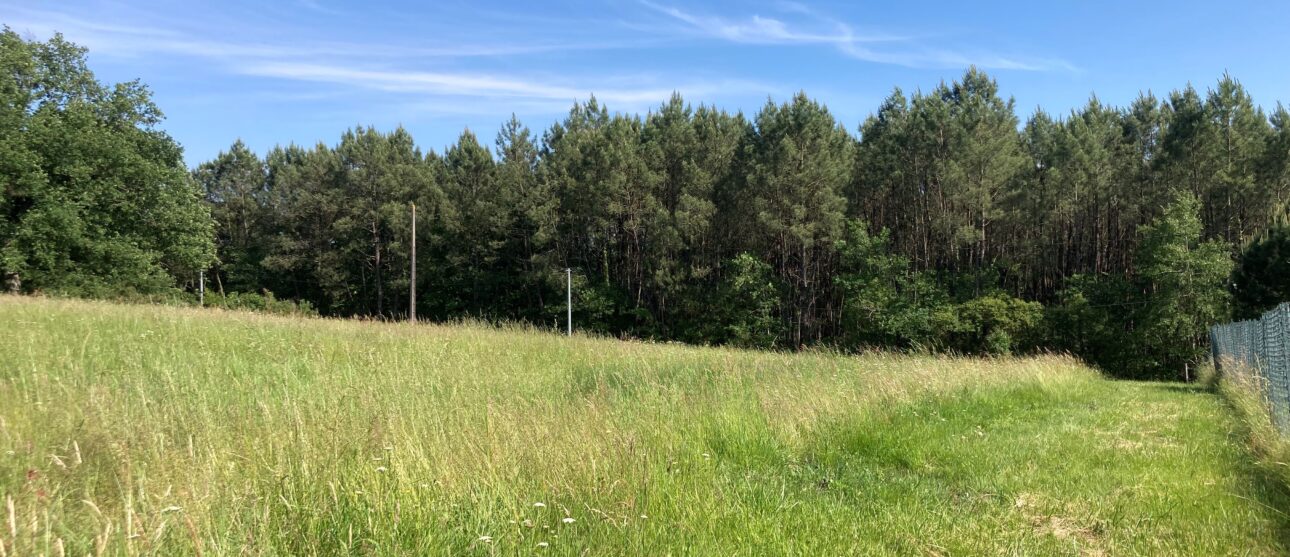 Terrain constructible Boisredon  (Charente-maritime 17)