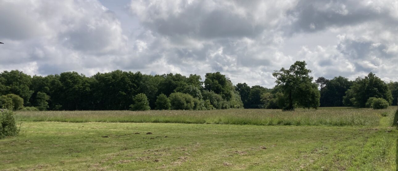 Terrain constructible Gauriaguet (Gironde 33)