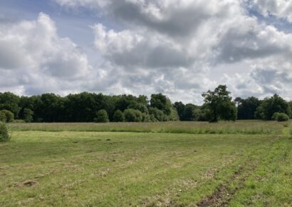 Terrain constructible Gauriaguet  (Gironde 33)