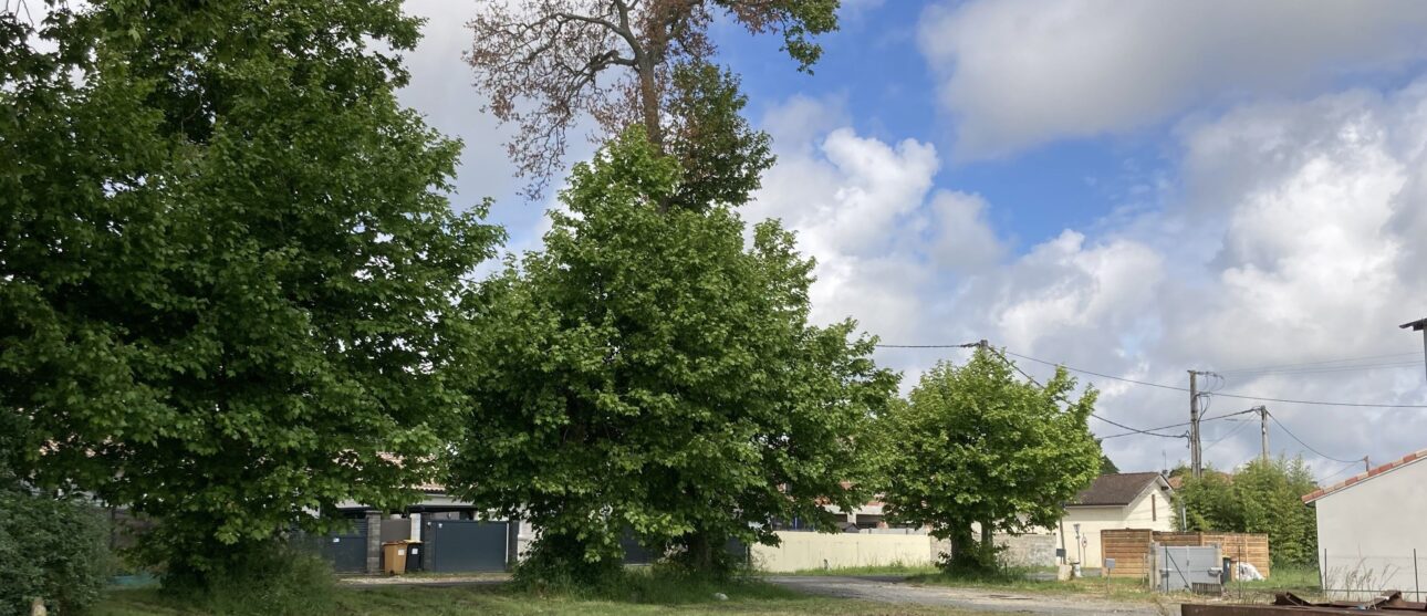 Terrain constructible Gauriaguet (Gironde 33)
