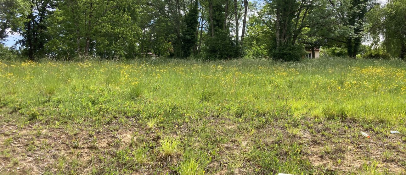 Terrain constructible Maransin (Gironde 33)