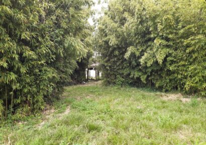 Terrain Roaillan  (Gironde 33)