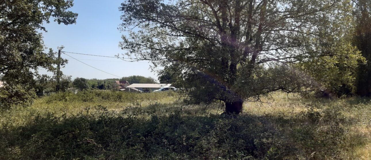 Terrain constructible Saint-michel-de-rieufret (Gironde 33)