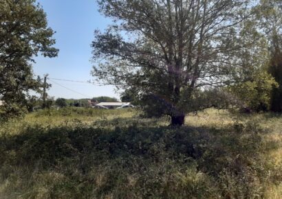 Terrain Fargues  (Gironde 33)