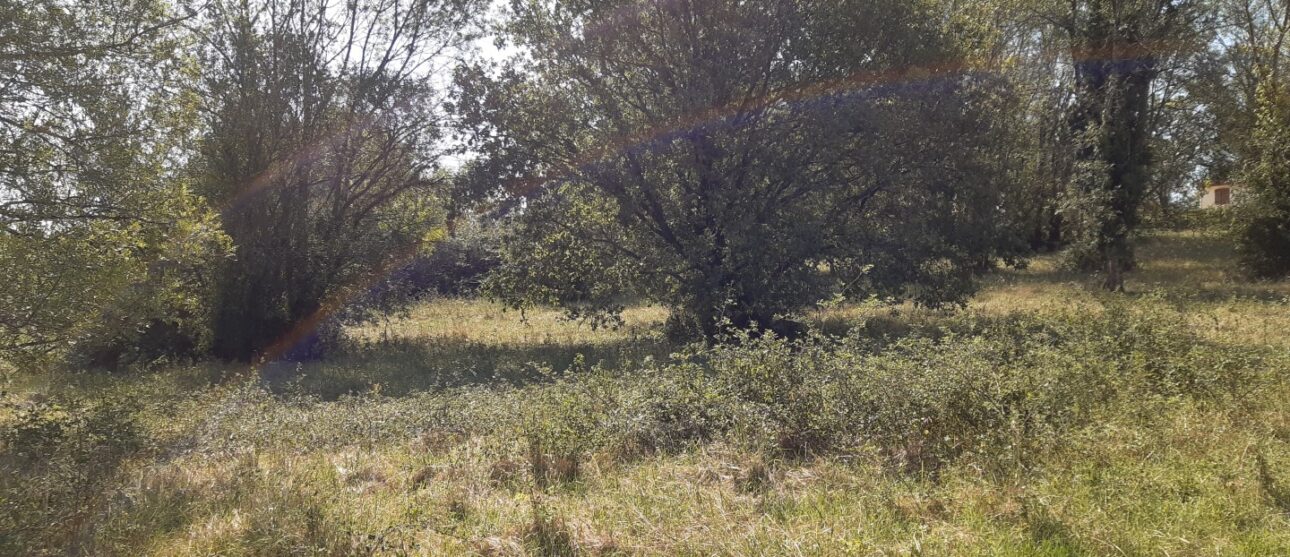 Terrain constructible Beautiran (Gironde 33)