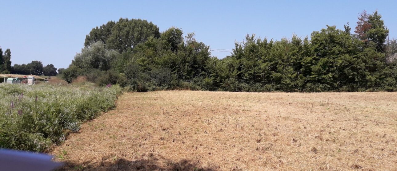 Terrain constructible Louchats (Gironde 33)