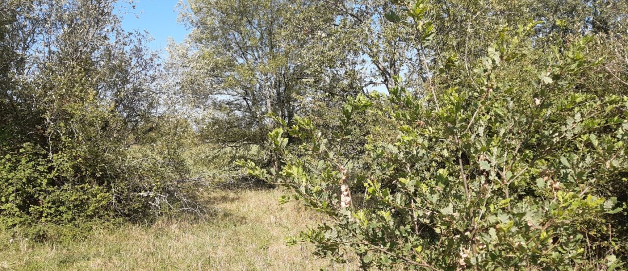 Terrain constructible Fargues (Gironde 33)