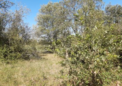 Terrain Roaillan  (Gironde 33)