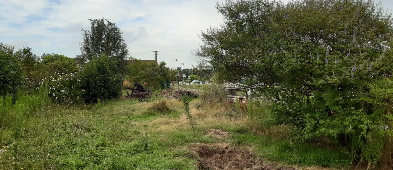 Terrain constructible Castelnau-de-médoc  (Gironde 33)