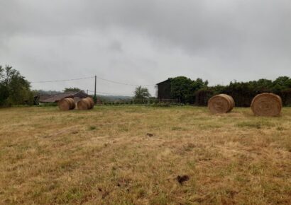 Terrain Roaillan  (Gironde 33)