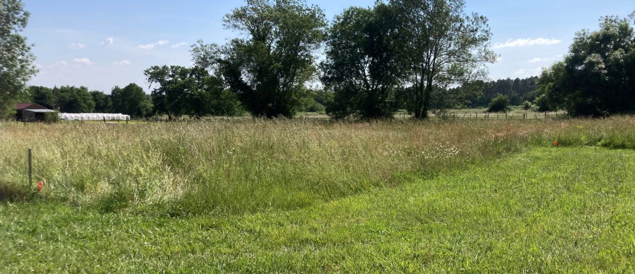 Terrain constructible Reignac  (Gironde 33)