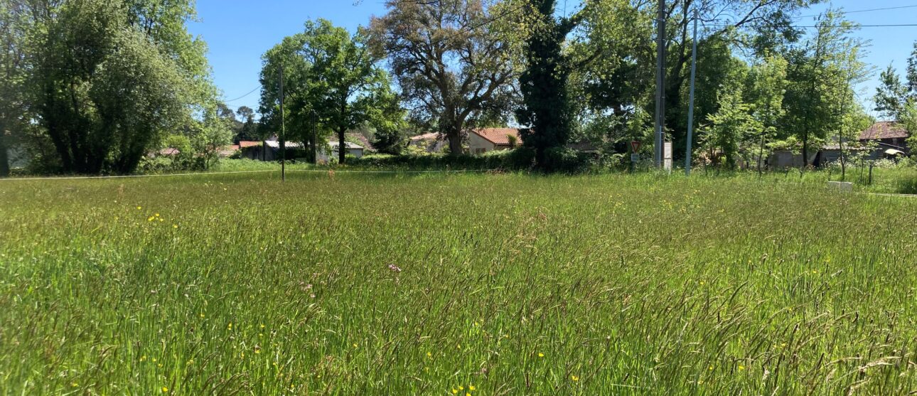 Terrain constructible Reignac  (Gironde 33)
